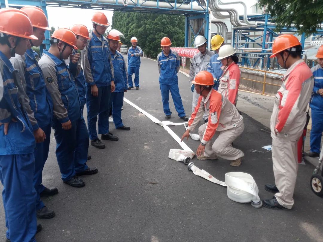 1690338601191397.jpg 640 (3).jpg