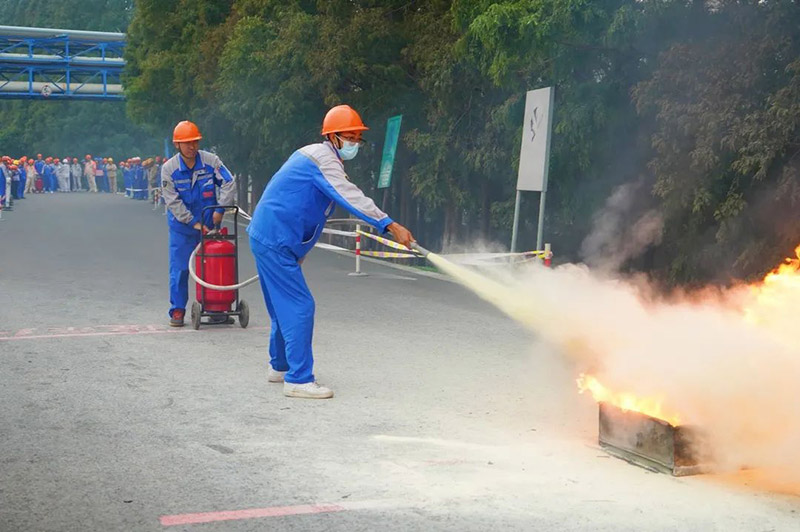 1700010833159441.jpg 13.jpg